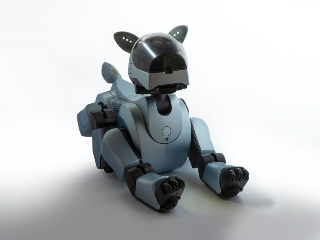 Toy Robot dog, photo by Brett Jordan